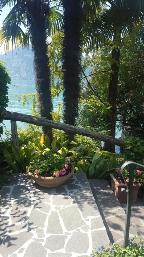 L'Oleandro Sul Lago D'Iseo B&B 술자노 외부 사진