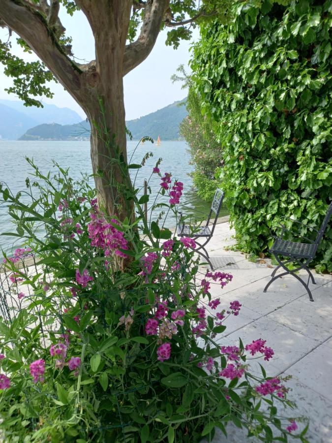 L'Oleandro Sul Lago D'Iseo B&B 술자노 외부 사진