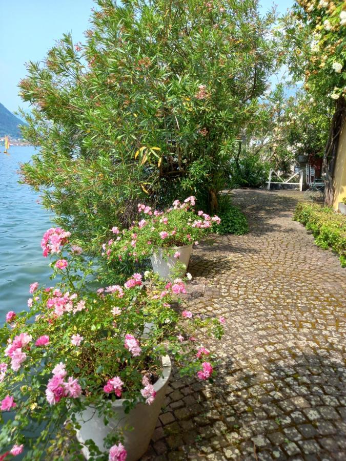 L'Oleandro Sul Lago D'Iseo B&B 술자노 외부 사진