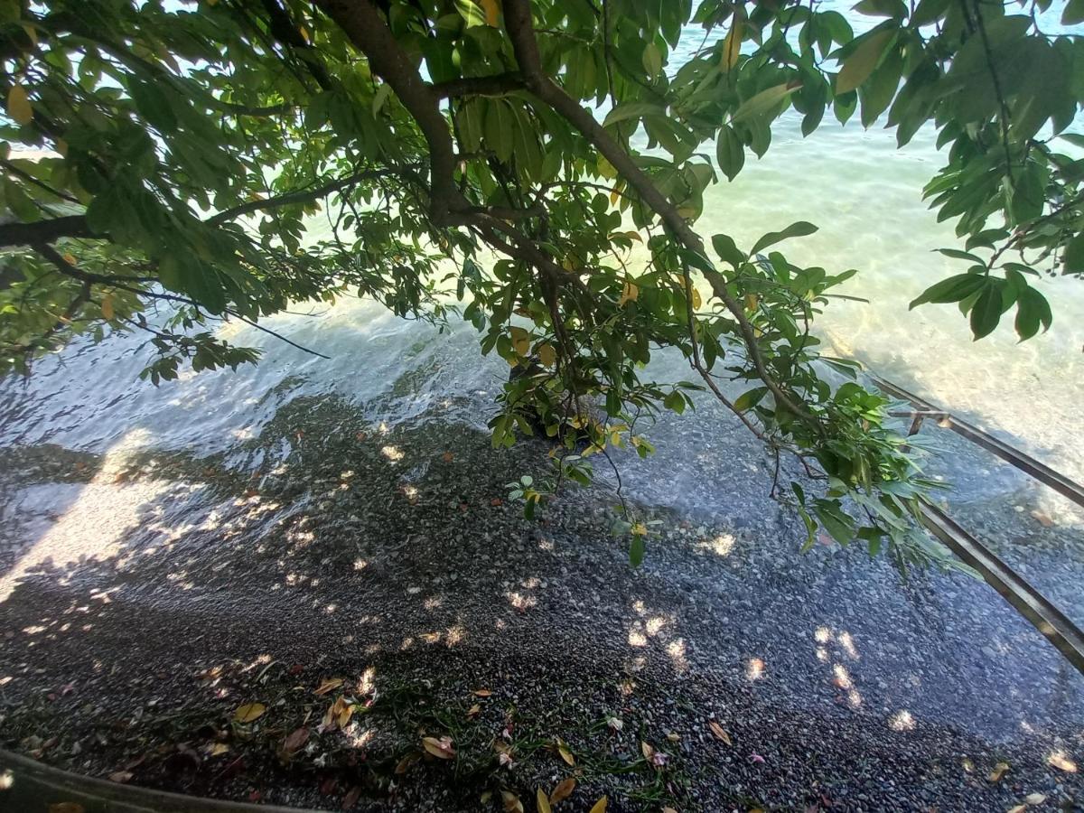 L'Oleandro Sul Lago D'Iseo B&B 술자노 외부 사진