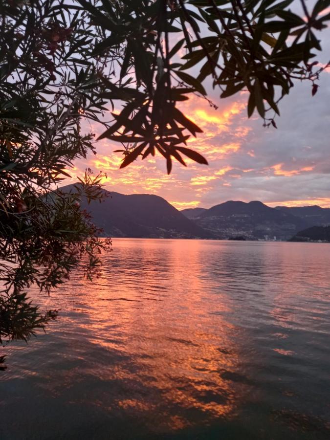 L'Oleandro Sul Lago D'Iseo B&B 술자노 외부 사진