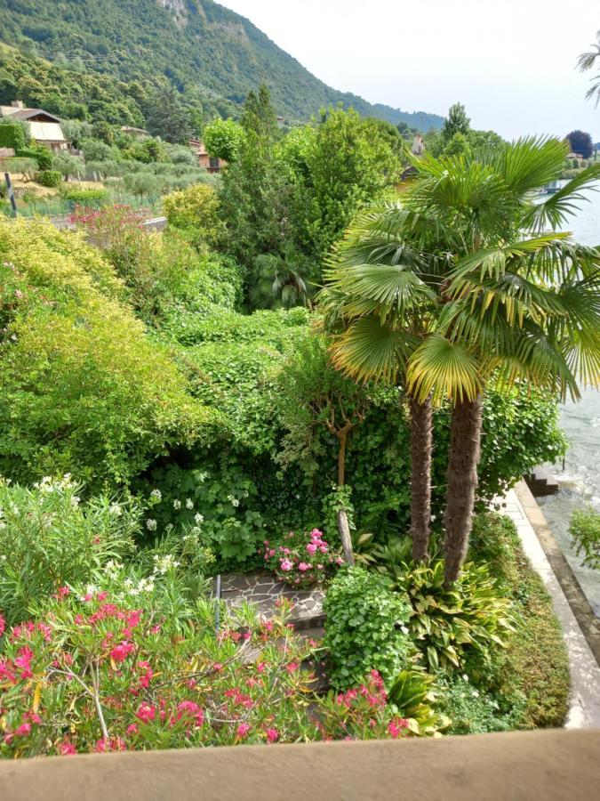 L'Oleandro Sul Lago D'Iseo B&B 술자노 외부 사진