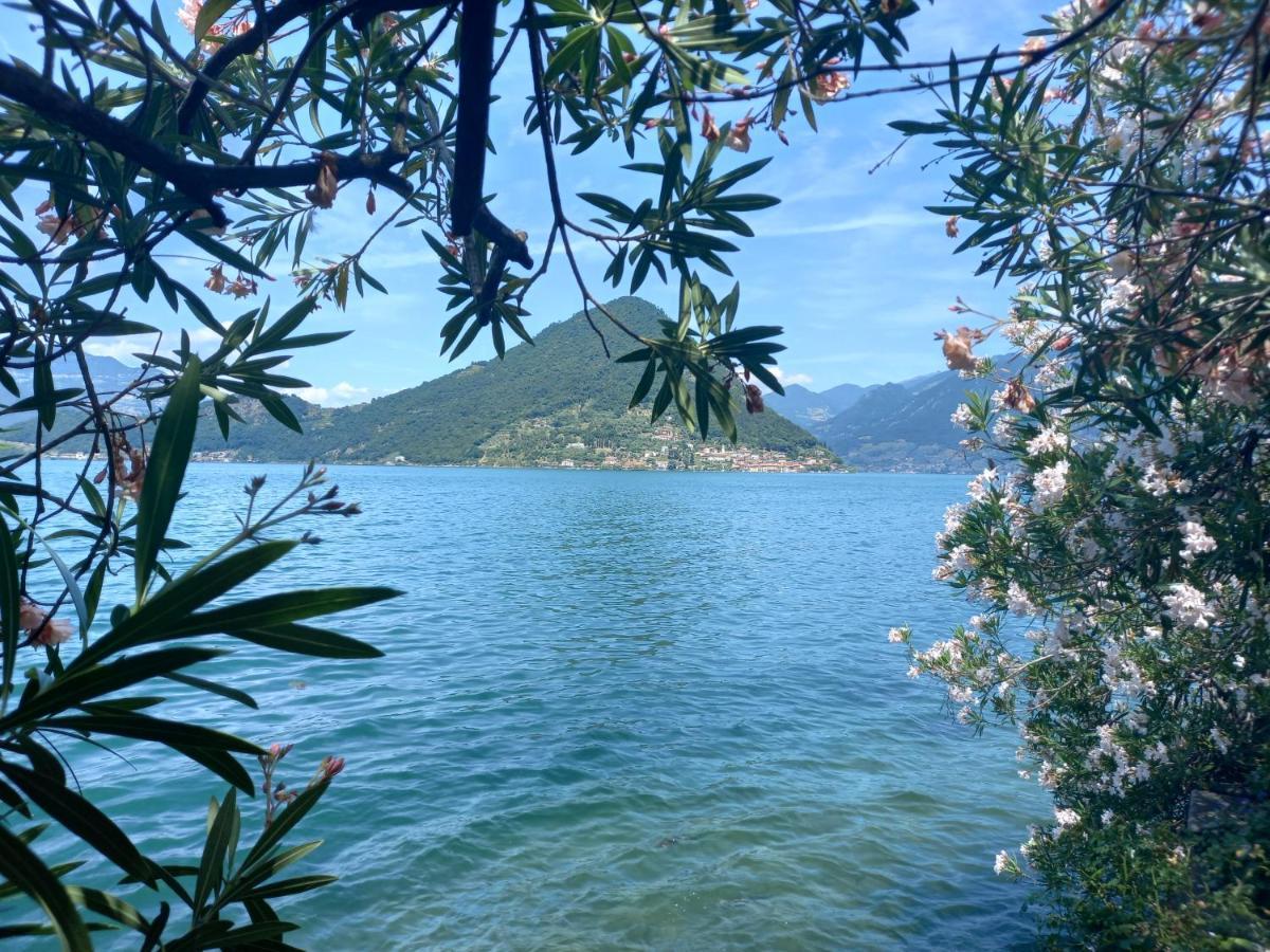 L'Oleandro Sul Lago D'Iseo B&B 술자노 외부 사진