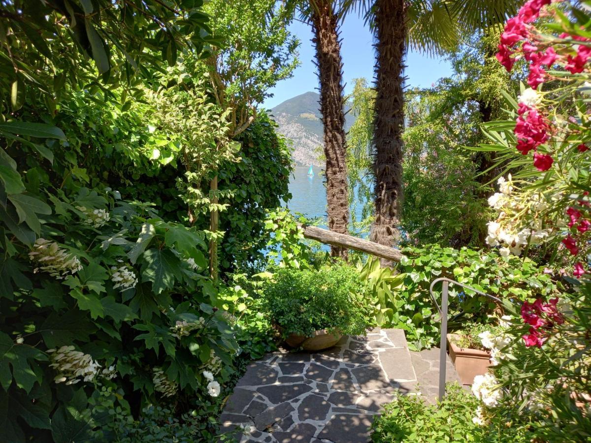 L'Oleandro Sul Lago D'Iseo B&B 술자노 외부 사진