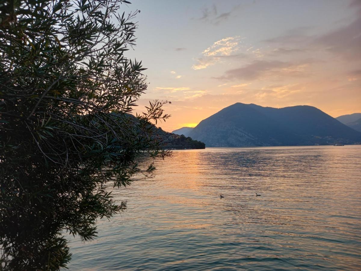 L'Oleandro Sul Lago D'Iseo B&B 술자노 외부 사진