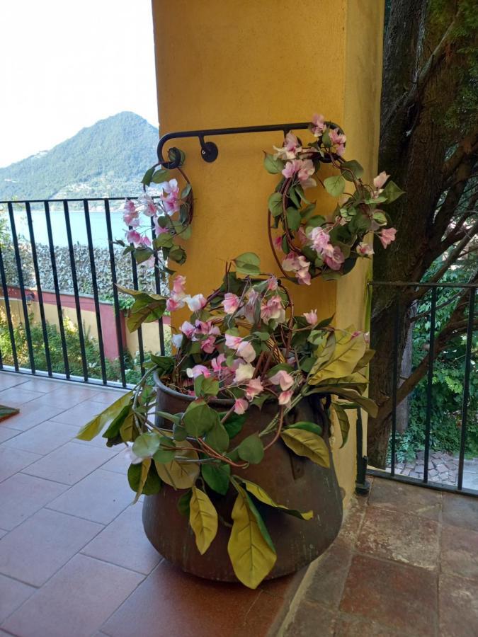 L'Oleandro Sul Lago D'Iseo B&B 술자노 외부 사진