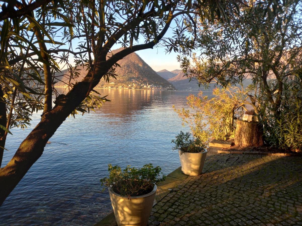 L'Oleandro Sul Lago D'Iseo B&B 술자노 외부 사진