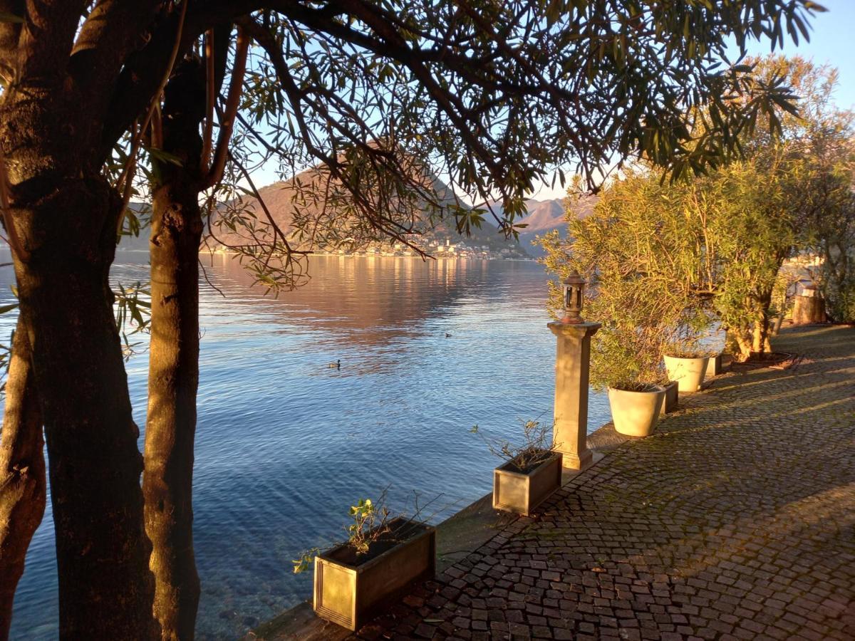 L'Oleandro Sul Lago D'Iseo B&B 술자노 외부 사진