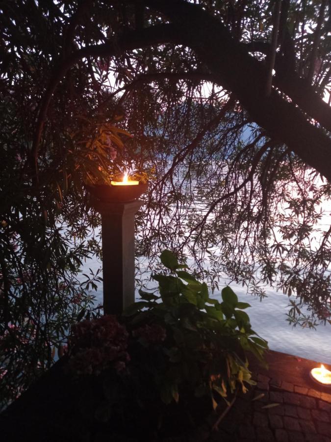 L'Oleandro Sul Lago D'Iseo B&B 술자노 외부 사진