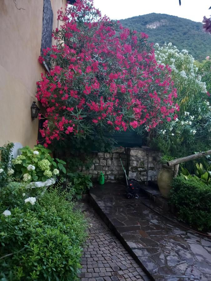 L'Oleandro Sul Lago D'Iseo B&B 술자노 외부 사진
