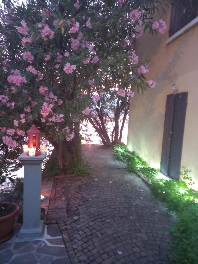 L'Oleandro Sul Lago D'Iseo B&B 술자노 외부 사진